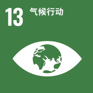 13气候行动