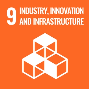 9  Industry, Innovation and Infrastructure