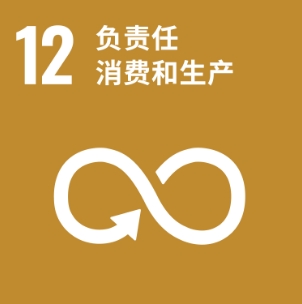 12负责任消费和生产